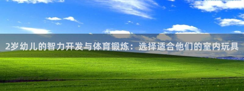 征途国际平台是正规平台吗安全吗：2岁幼儿的智力开发与