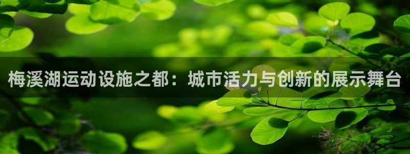 征途国际平台APP：梅溪湖运动设施之都：城市活力与创