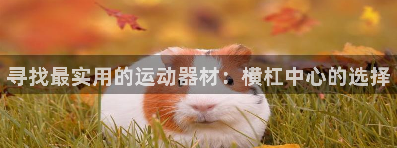 征途国际开户：寻找最实用的运动器材：横杠中心的选择