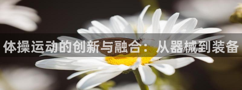 征途国际娱乐网站：体操运动的创新与融合：从器械到装备