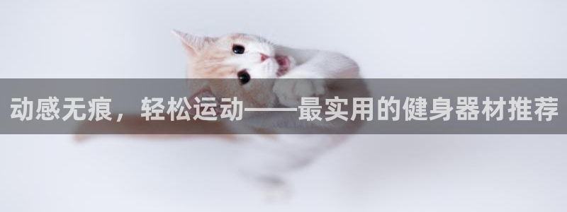 征途国际是干嘛的公司：动感无痕，轻松运动——最实用的