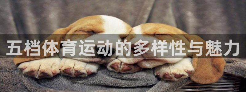 征途国际招商电话是多少啊：五档体育运动的多样性与魅力