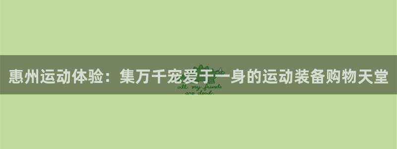 征途国际招商电话是多少：惠州运动体验：集万千宠爱于一身的运动