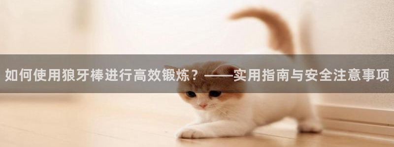 征途国际招商：如何使用狼牙棒进行高效锻炼？——实用指
