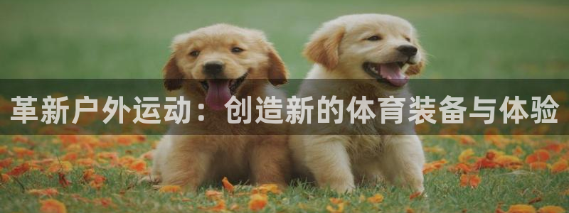 征途国际娱乐下载：革新户外运动：创造新的体育装备与体验