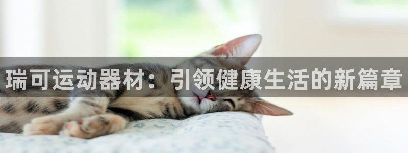 征途国际集团官网网址：瑞可运动器材：引领健康生活的新