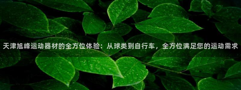 征途国际招商电话是多少啊：天津旭峰运动器材的全方位体