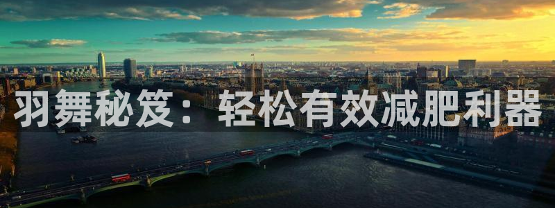 征途国际招商电话号码是多少啊：羽舞秘笈：轻松有效减肥利器