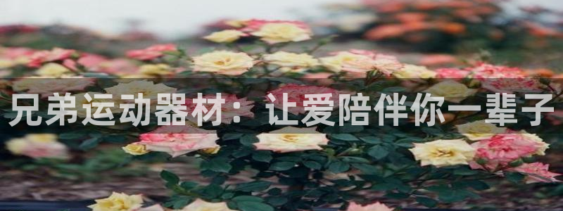 征途国际联系电话：兄弟运动器材：让爱陪伴你一辈子