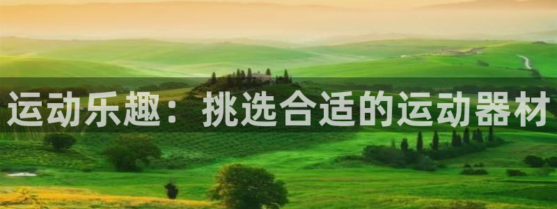 征途国际娱乐下载：运动乐趣：挑选合适的运动器材