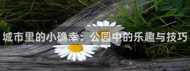 征途国际娱乐：城市里的小确幸：公园中的乐趣与技巧