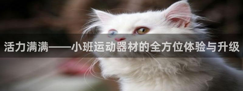 征途国际注册：活力满满——小班运动器材的全方位体验与升级