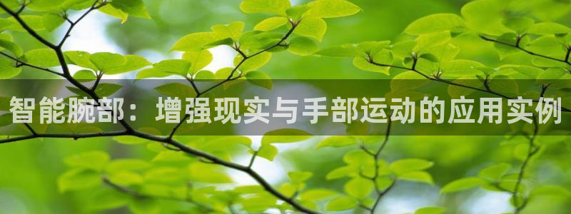 征途国际平台体育：智能腕部：增强现实与手部运动的应用