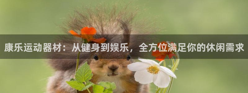 征途国际娱乐首页网站大全：康乐运动器材：从健身到娱乐