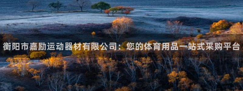 征途国际官网：衡阳市嘉励运动器材有限公司：您的体育用